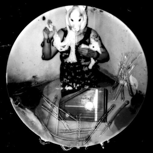 The Ghost of a Fox Lives in My Basement