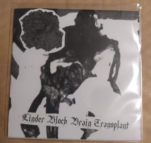 Cinder Block Brain Transplant