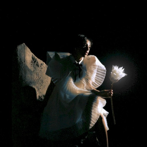 Time Is a Flower