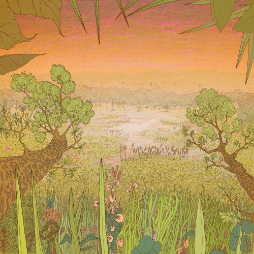 Mirage on the Meadow