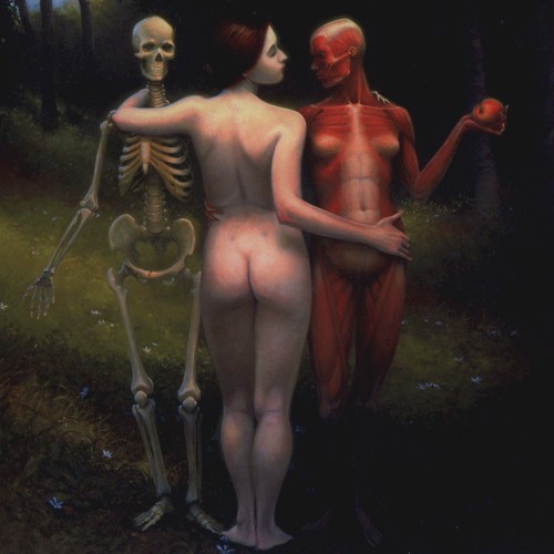 The Mortal Coil