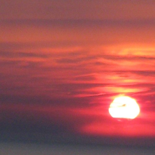 Beloved (Instrumental)