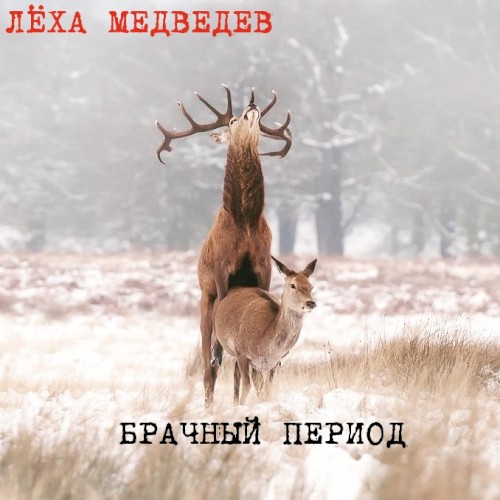 Брачный период