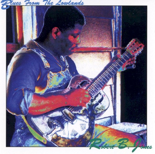Blues From the Lowlands
