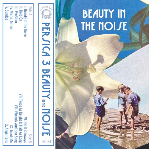 Beauty in the Noise