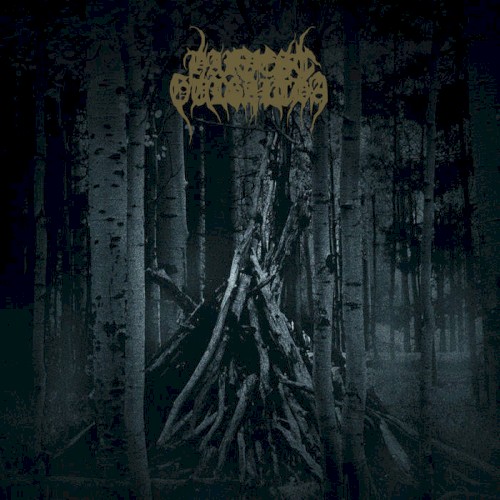 Ancient Woods
