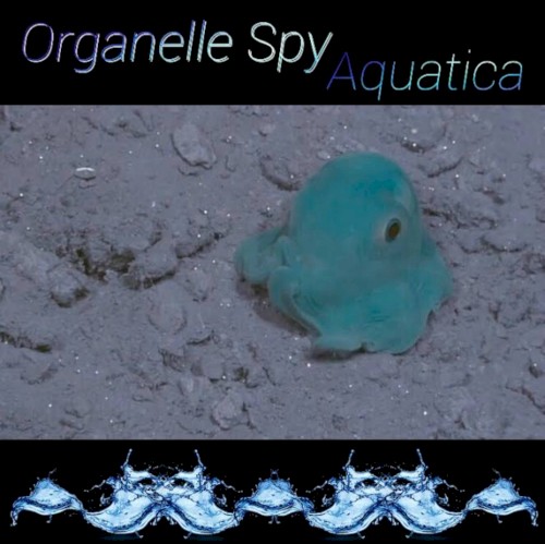 Aquatica