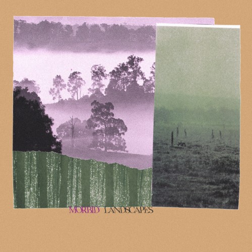 MORBID LANDSCAPES