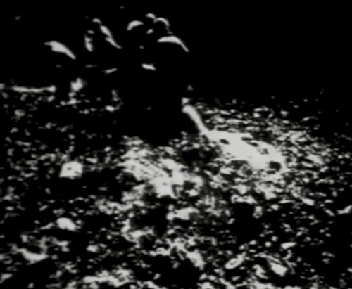 Begotten Chapter IV