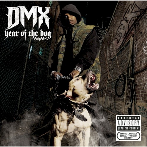 Year of the Dog… Again