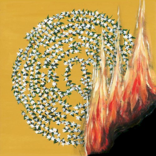 Amber