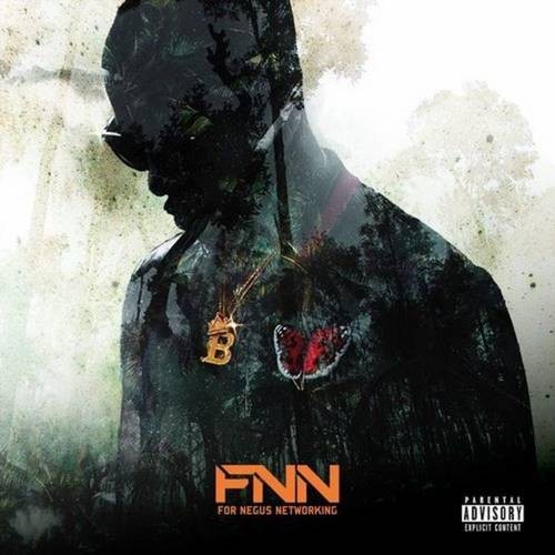 FNN - For Negus Networking