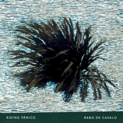 Rabo de Cavalo