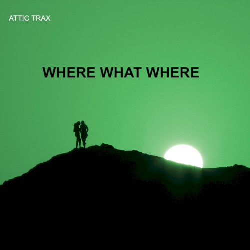 Where What Where