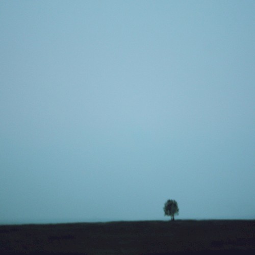 Motherland Landscapes