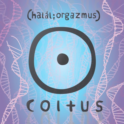 Coitus