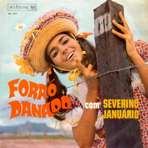 Forró danado