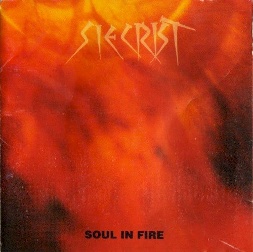 Soul in Fire