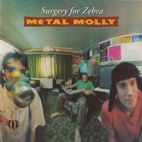 Surgery for Zebra