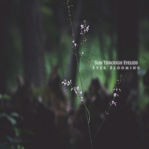 Ever Blooming