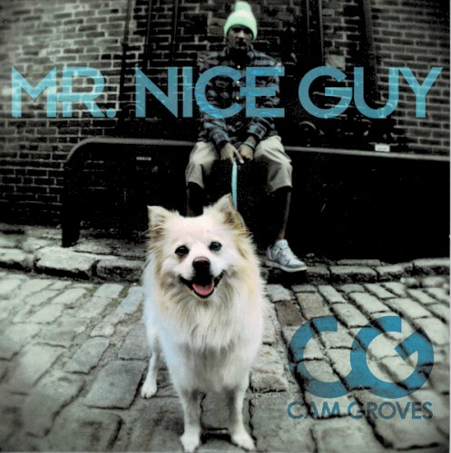 Mr. Nice Guy