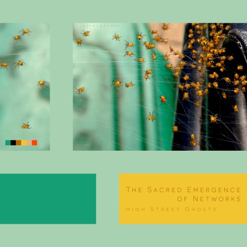 The Sacred Emergence of Networks