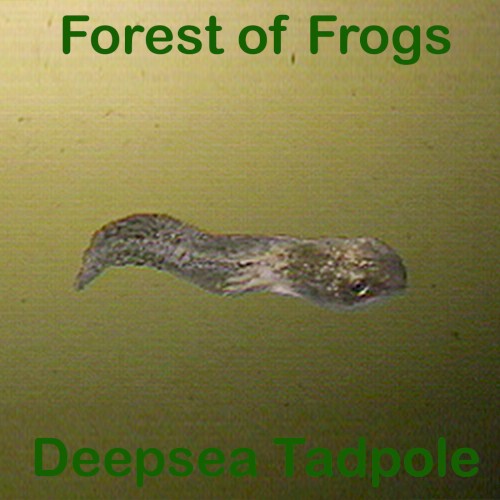 Deepsea Tadpole