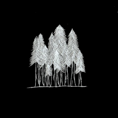 woods