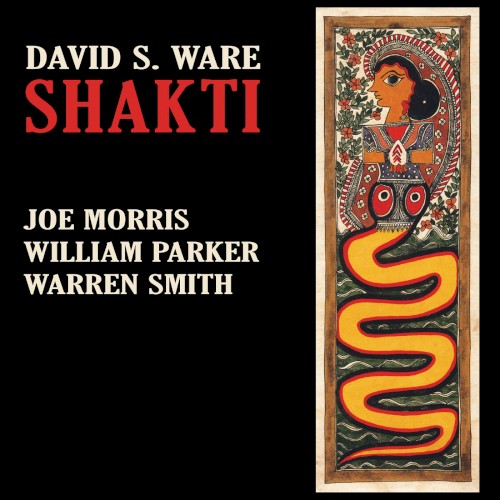 Shakti
