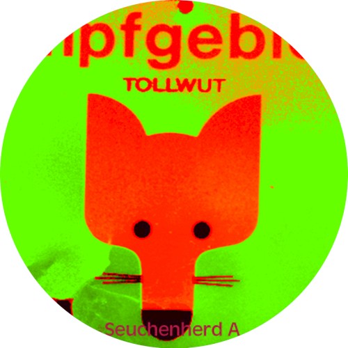 Tollwut (Seuchenherd A)