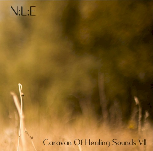 Caravan Of Healing Sounds VII