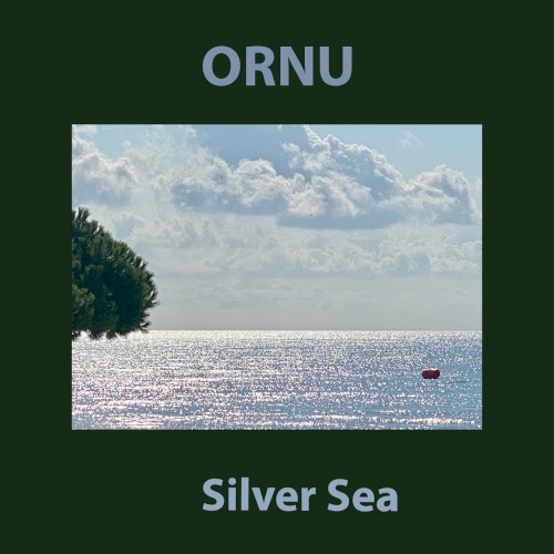 Silver Sea