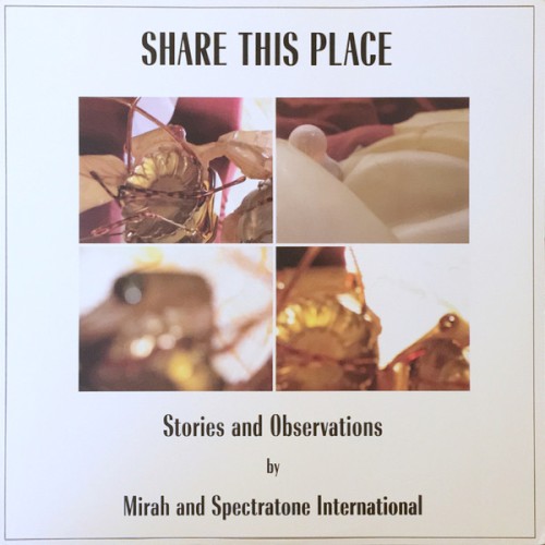 Share This Place: Stories and Observations