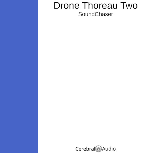 Drone Thoreau Two