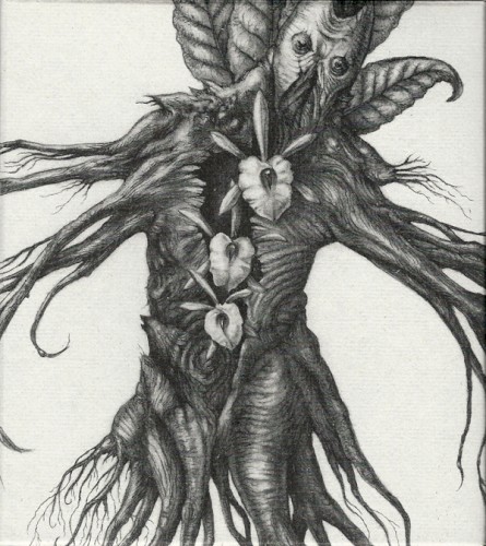 IV: Mandragora