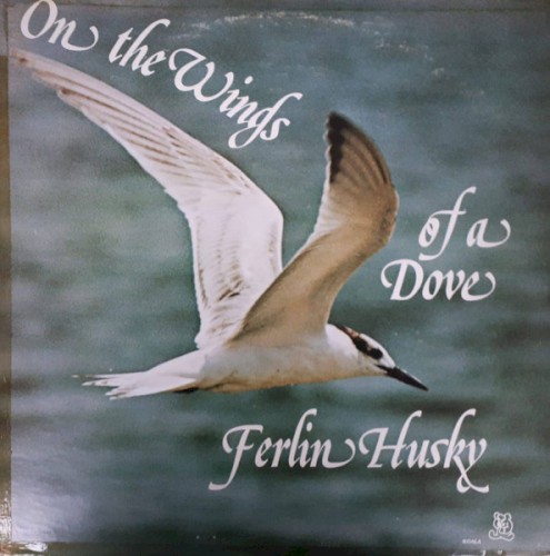 On the Wings of a Dove