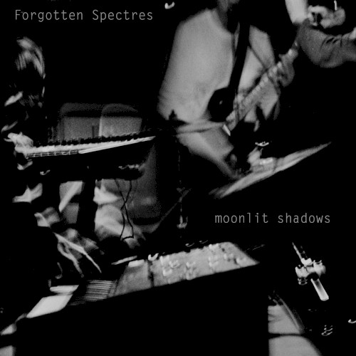 Moonlit Shadows