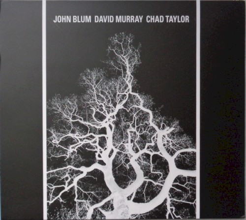 The Recursive Tree