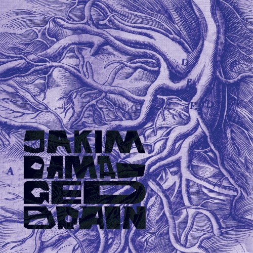 Damaged Brain