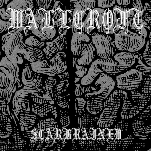 Scarbrained