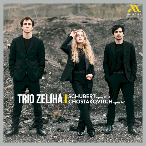 Schubert: Opus 100 / Chostakovitch: Opus 67