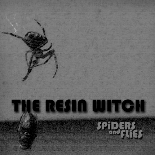 Spiders and Flies