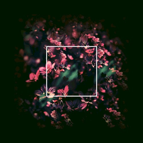 Flowertraces