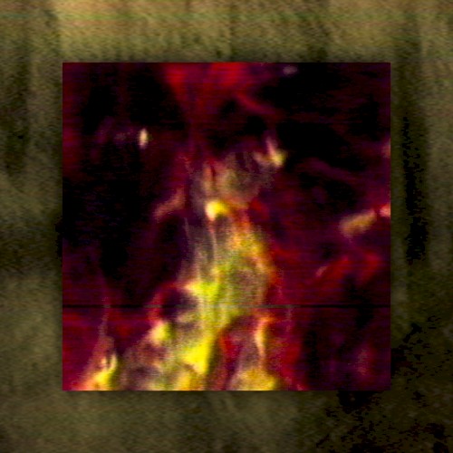 Death Symmetries
