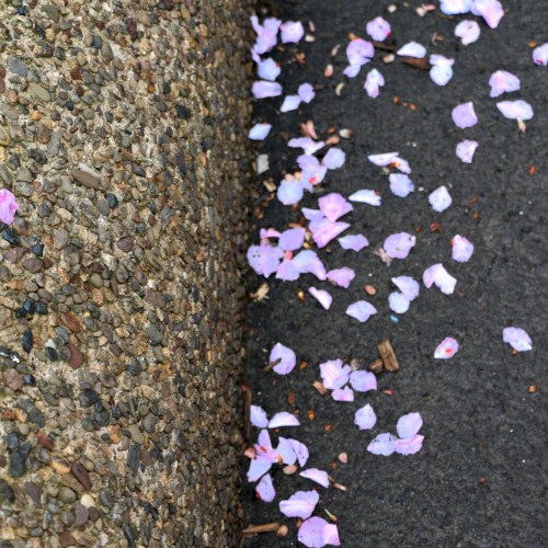 Fallen Feelings Negotiated