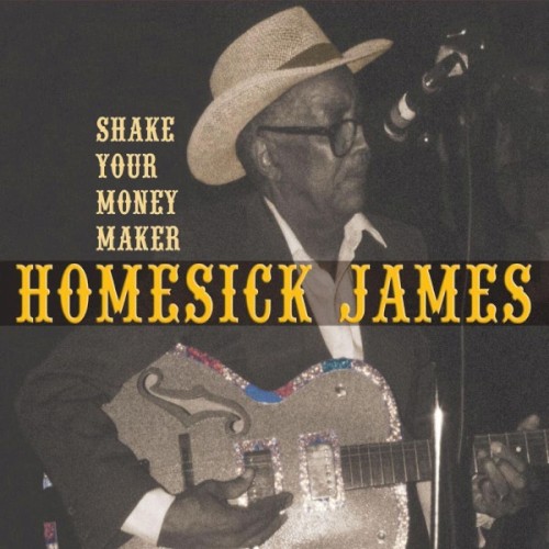 Shake Your Money Maker