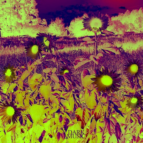Dark Music
