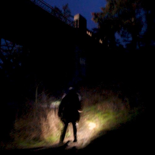 Dilettante Dawn