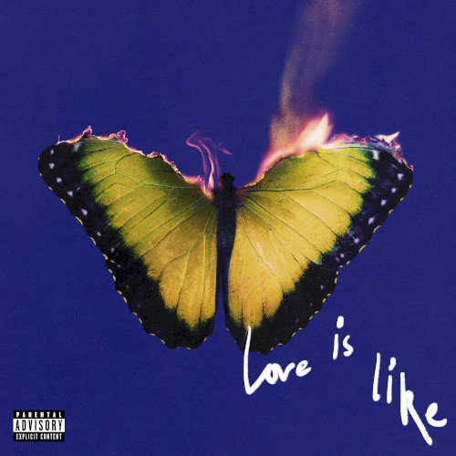Love Is Like