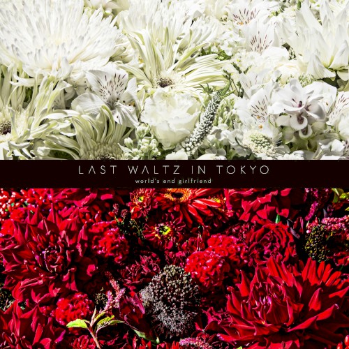 LAST WALTZ IN TOKYO